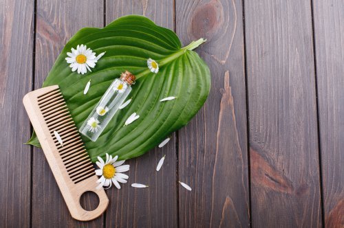 Ayurvedic Hair Care: Best Herbal Oils for Strong, Shiny Hair