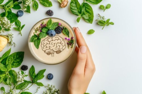 Ayurvedic Medicine for Brain Power: How to Improve Memory Naturally with Ayurveda