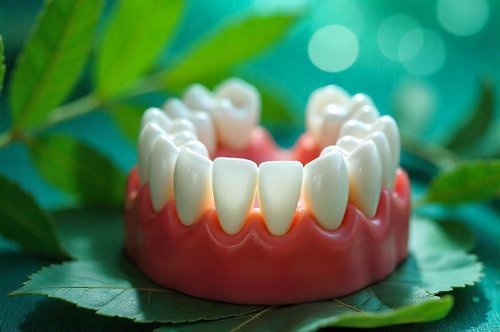 Why Oral Health Matters in Ayurveda