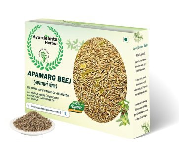 Apamarg Beej | Edible-Grade Apamarg Seeds for Detox & Gut Health - Ayurdaanta Herbs