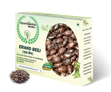 Arandi Beej | Ayurvedic Castor Seeds for Joint & Digestive Health - Ayurdaanta Herbs