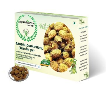 Bandal Doda (Luffa Echinata) – Ayurvedic Herb for Digestion, Liver & Inflammation Relief | Ayurdaanta Herbs