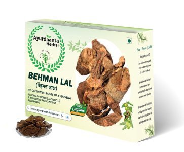 Behman Lal Powder | Ayurvedic Nerve Tonic for Vitality & Rejuvenation