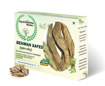 Behman Safed | White Behman (Centaurea Behen Linn) | Nerve & Vitality Support Herb – Powder / Raw Form