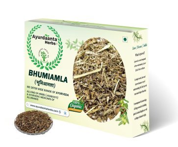 Bhumi Amla / भुई आंवला | Bhoomi Amla | Dried Bhumi Amla | Phyllanthus Niruri | Liver Detox Herb