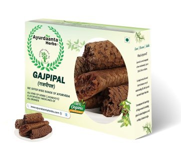 Gajpipal / गजपीपल | Gajpipli / गजपीपली | Scindapsus Officinalis – Traditional Ayurvedic Herb for Respiratory Health & Vitality
