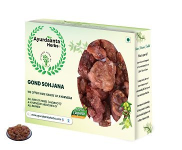 Gond Sohjana / गोंद सहजन | Moringa Gum / गोंद मोरिंगा | Natural Herbal Resin for Joint Health, Immunity & Energy Boost