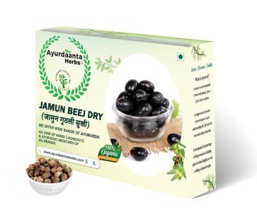 Jamun Beej / जामुन बीज सूखा | Dried Jamun Seeds / जामुन मींगी / Jamun Guthli | Syzygium Cumini – 100% Natural Herbal Remedy for Diabetes, Digestion & Skin Health