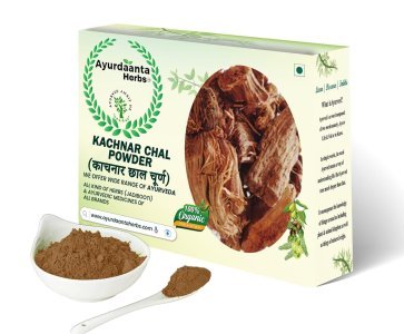 Kachnar Chal Powder / कचनार छाल चूर्ण | Bauhinia Variegata Bark Powder | Orchid Tree Bark – Natural Ayurvedic Remedy for Thyroid, Tumors & Detox