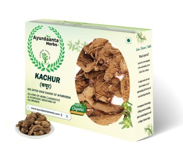Kachur (NarKachur) / कचूर | Kali Haldi / काली हल्दी | Curcuma Zerumbet – Ayurvedic Zedoary Root for Skin, Digestion & Inflammation