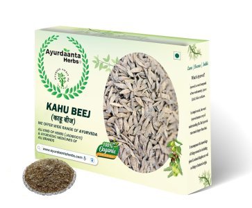 Kahu Beej / काहू बीज | Tukhm-e-Kahu / तुख्म ए काहू | Kahu Seeds (Lactuca Sativa) – Natural Herb for Sleep, Relaxation & Digestion