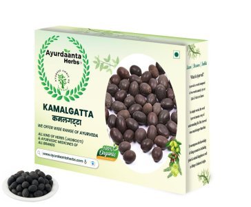 Kamlagatta / कमल गट्टा | Dried Lotus Seeds (Nelumbo Nucifera) – For Female Wellness, Fertility & Puja Use