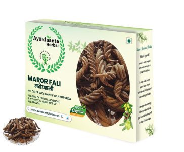 Marod Phali / मरोड़ फली | Helicteres Isora for Digestion & Women’s Wellness | 100% Pure Ayurvedic Herb