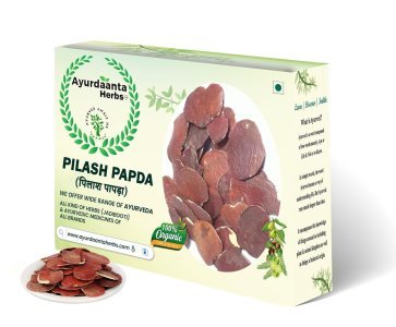 Palash Papda | पलाश पापड़ा | Palash Beej | Butea Monosperma Seeds for Vitality, Immunity & Ayurveda Healing