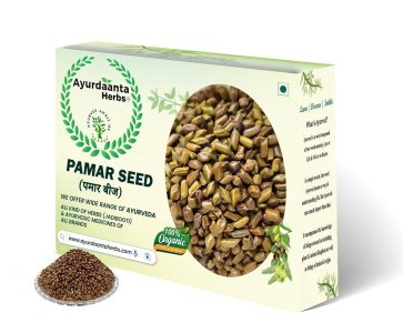 Pamar Seeds | पमार बीज | Chakramarda (Cassia Tora) for Skin Detox, Joint Pain & Digestion