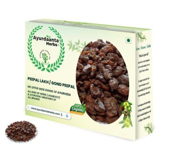 Peepal Gond | पीपल गोंद | Sacred Resin from the Holy Fig Tree | पीपल गोंद | Holy Fig Tree की पवित्र गोंद