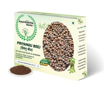 Priyangu Beej | प्रियंगू बीज | Callicarpa Macrophylla Seeds for Skin Glow & Cooling Relief