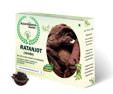 Ratanjot Root (Alkanna Tinctoria) | रतनजोत जड़ – बालों के लिए प्राकृतिक रंग और त्वचा देखभाल के लिए आयुर्वेदिक जड़ी-बूटी
