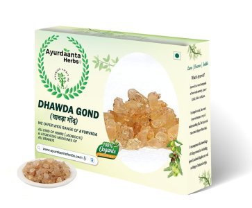 Ayurdaanta Herbs - Dhawda Gond / धावडा गोंद  100Gr