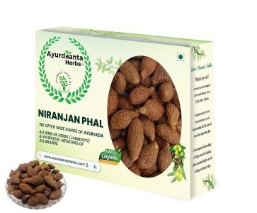 Ayurdaanta Herbs - Niranjan Phal / निरंजन फल  | China Fruit / चाइना फ्रूट | Umas Mangu / उमस मंगु  | Malva Nuts/मालवा नट्स | Barringtonia Acutangula