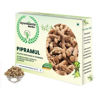 Ayurdaanta Herbs - Pipramul / पीपरामूल(गाँठवाला) | piplamool / पीपलामूल (गाँठवाला) Piper Longum Root - BEST QUALITY