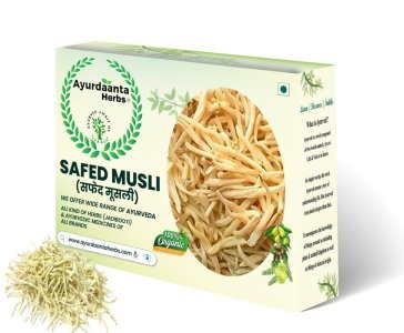 Safed Musli / सफेद मूसली (BEST QUALITY) | Chlorophytum Borivilianum Root