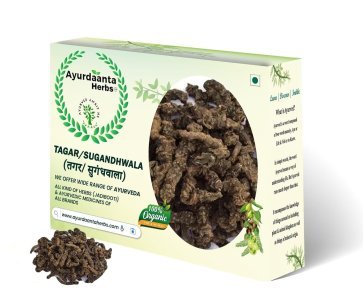 Ayurdaanta Herbs - Tagar / तगर  | Sugandhwala / सुगंधवाला | Tagar Ganth | Mushkbala Tagara | Bala | Valerian Root | Valeriana Wallichi