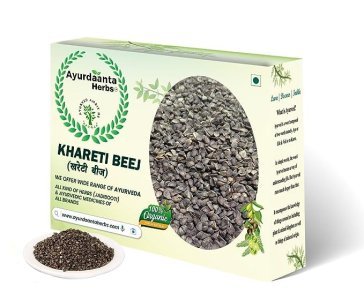 Ayurdaanta Herbs - Khareti Beej 100 Gr | Beej Khareti | Kharaiti Beej | Beej Bala | Atibala Beej | Khareti Seed | ????? ??? | ??? ????? | ??? ??? | ?????? ??? 100Gr.- HERB USE FOR WEAKNESS (100Gr)