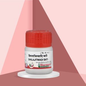 Shilajitwadi Bati - 40 TABLET