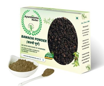 Ayurdaanta Herbs - Bawchi Seed Powder| Babchi Powder | Baochi Powder | Bawchi Seeds Powder | Bauchi Seeds Powder| Bawchi Powder | Bakuchi Powder| Psoralea Corylifolia Powder | बावची बीज चूर्ण | बाकची बीज चूर्ण | बाकुची बीज चूर्ण- FOR SKIN DESEAS & LUKODARMA (WHITE SPOT) सफेद दाग -100% Pure & Natural -