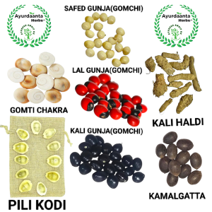 Ayurdaanta Herbs - Pili laxmi Kodi 11 | Gomti Chakra 11 | Kali Haldi 11 | Safed , Lal , Kali Gunja 11 (Gomchi / Chirmi ) | Kamalgatta 11 - Special Combo For Laxmi Pujan & Diwali Pujan  | पीली लक्ष्मी कोड़ी | गोमती चक्र | काली हल्दी | सफेद , लाल , काली गुँजा ( गोमची , चिरमी )| कमलगट्टा - सभी के 11-11 नग - दीपावली पूजन एवं लक्ष्मी पूजन के लिये स्पेशल पेक