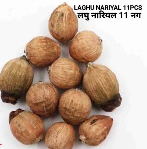 Pili laxmi Kodi 11 | Gomti Chakra 11 | Kali Haldi 11 | Safed , Lal , Kali Gunja 11 (Gomchi / Chirmi ) | Kamalgatta 11 | Laghu Nariyal 11- Special Combo For Laxmi Pujan