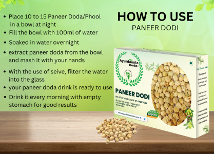 Paneer Dodi Phool | Paneer Doda | Indian Rennet | पनीर डोडी फूल | पनीर डोडा | भारतीय रेनेट | Natural Support for Diabetes, Sleep, Asthma & Nerve Health – 100% Pure Herb | मधुमेह, नींद, दमा और तंत्रिका शक्ति के लिए 100% शुद्ध जड़ी-बूटी