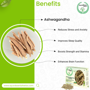 Health Booster & Stress Relief Combo – Mental Health & Immunity Support with Safed Musli, Ashwagandha, Kaunch Beej & Pili Sitawar | हेल्थ बूस्टर और तनाव राहत कॉम्बो – मानसिक स्वास्थ्य और रोग प्रतिरोधक क्षमता के लिए सफेद मूसली, अश्वगंधा, कौंंच बीज और पीली सितावर के साथ