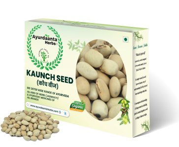 White Kaunch Beej / सफेद कौंच बीज | Mucuna Pruriens for Vitality, Fertility & Strength