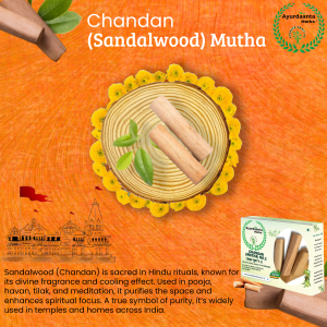 Malyagir Chandan Mutha No.1 / मल्यागिर चंदन मूठा | Pure White Sandalwood Stick for Puja, Tilak & Skin | चंदन लकड़ी