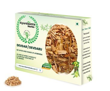 Ayurdaanta Herbs - Devdar / देवदार / देबदारु - 100Gr | Devdar Wood  |Cedrus Deodara | देवदार लकड़ी  | देवदार  - Himalayan Cedar Wood for Havan and Pujan & Medicine