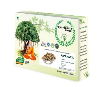 Ayurdaanta Herbs - Pipramul / पीपरामूल(गाँठवाला) | piplamool / पीपलामूल (गाँठवाला) Piper Longum Root - BEST QUALITY