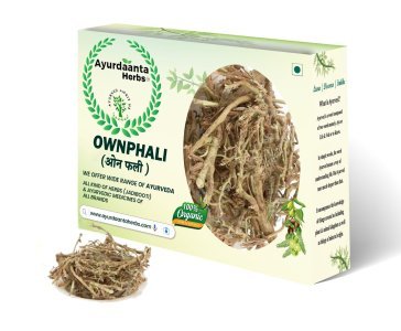 Ownphali / ओनफली | Ownphari Seeds for Strength & Reproductive Wellness | 100% Pure Ayurvedic Herb