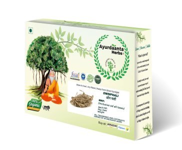 Ownphali / ओनफली | Ownphari Seeds for Strength & Reproductive Wellness | 100% Pure Ayurvedic Herb