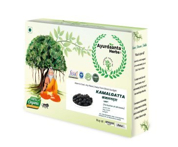 Kamlagatta / कमल गट्टा | Dried Lotus Seeds (Nelumbo Nucifera) – For Female Wellness, Fertility & Puja Use