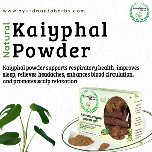 Kaiyphal (Katphal) Powder – Myrica Esculenta for Throat, Gum & Respiratory Care | काईफल (कटफल) पाउडर – गला, मसूड़ों और श्वसन तंत्र की देखभाल के लिए आयुर्वेदिक जड़ी-बूटी