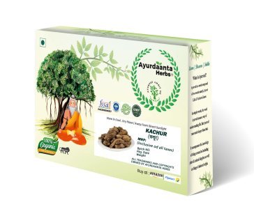 Kachur (NarKachur) / कचूर | Kali Haldi / काली हल्दी | Curcuma Zerumbet – Ayurvedic Zedoary Root for Skin, Digestion & Inflammation