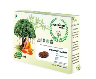 Gond Sohjana / गोंद सहजन | Moringa Gum / गोंद मोरिंगा | Natural Herbal Resin for Joint Health, Immunity & Energy Boost