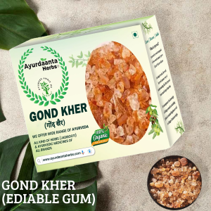 Gond Kher / गोंद खेर | Kher Ki Gond / खेर की गोंद | Natural Gum for Laddu, Ayurvedic Medicine & Immunity Boost