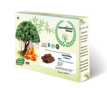 Gajpipal / गजपीपल | Gajpipli / गजपीपली | Scindapsus Officinalis – Traditional Ayurvedic Herb for Respiratory Health & Vitality