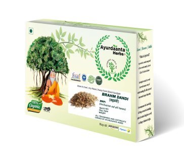 Brahm Dandi / ब्रह्म दंडी | Braham Dandi | Tricholepis Angustifolia | Ayurvedic Herb for Vitality, Stress, and Strength