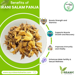 Irani Salam Panja / ईरानी सालम पंजा | Irani Salab Panja | Marsh Orchid Root – 100% Pure Grade-1 Herb for Strength, Stamina & Vitality Enhancement