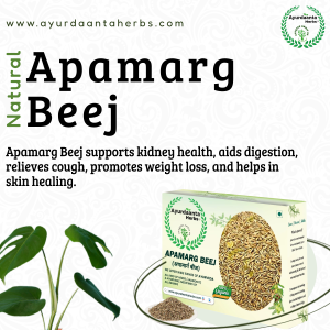 Apamarg Beej | Edible-Grade Apamarg Seeds for Detox & Gut Health - Ayurdaanta Herbs