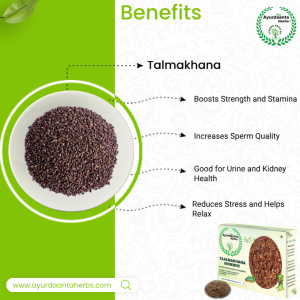 Talmakhana Beej by Ayurdaanta Herbs – Restore Vitality, Boost Reproductive Wellness & Support Urinary Health